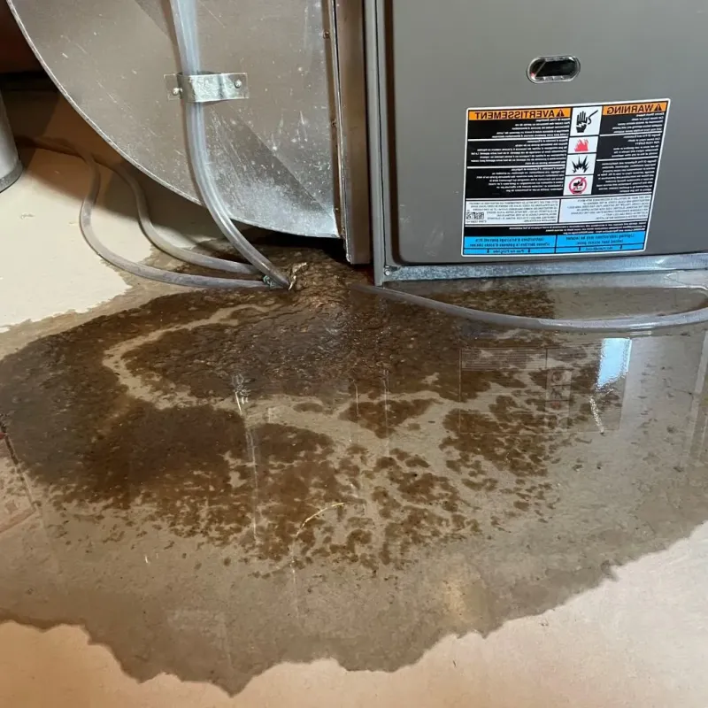 Pipe Burst and Leak Restoration in Clayton, OH